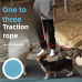 Nylon double-ended traction rope for dogs three-end traction set with adjustable pull belt and one-to-three traction rope